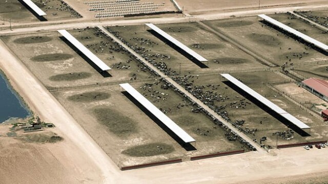 Redland Dairy – Farwell, TX