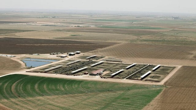 Redland Dairy – Farwell, TX