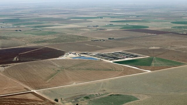 Another view, from a distance, illustrating virtually no pasture available. Redland Dairy – Farwell, TX