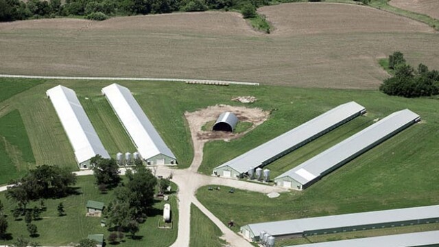 This is the best shot of the blow-up showing fencing with gates open, freshly mowed grass, all doors closed, no signs of birds ever being out. Smart Chicken – Tecumseh, NE