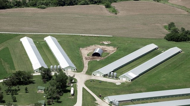 This is the best shot of the blow-up showing fencing with gates open, freshly mowed grass, all doors closed, no signs of birds ever being out. Smart Chicken – Tecumseh, NE